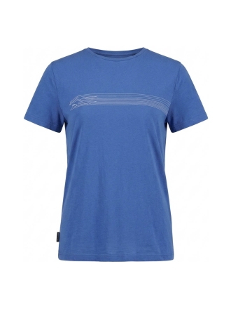 Icebreaker T-shirt Blauw 605149