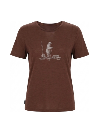 Icebreaker T-shirt Bruin 605157