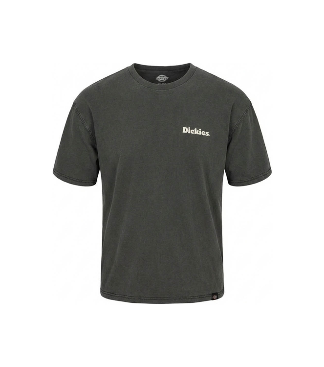 Dickies T-shirt