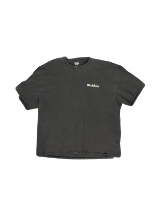 Dickies T-shirt Zwart 606521
 Maat XXL
 