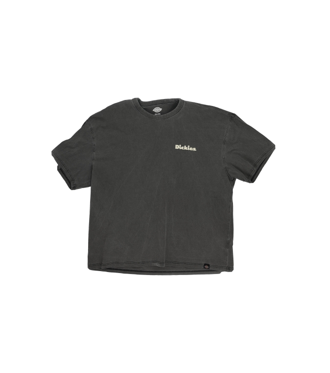 Dickies T-shirt