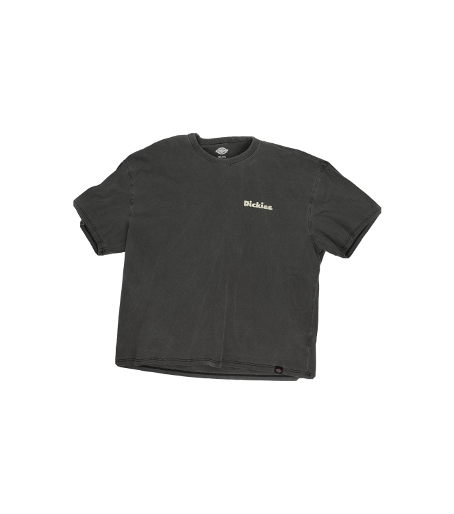 Dickies T-shirt