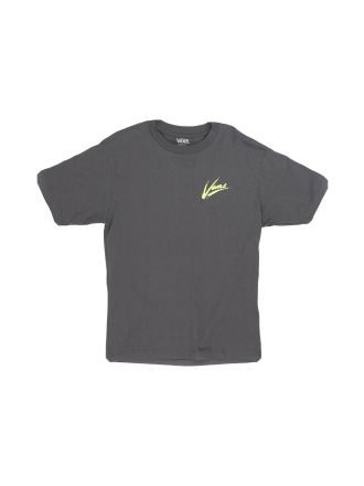 Vans T-shirt Grijs 607261
 Maat S
 