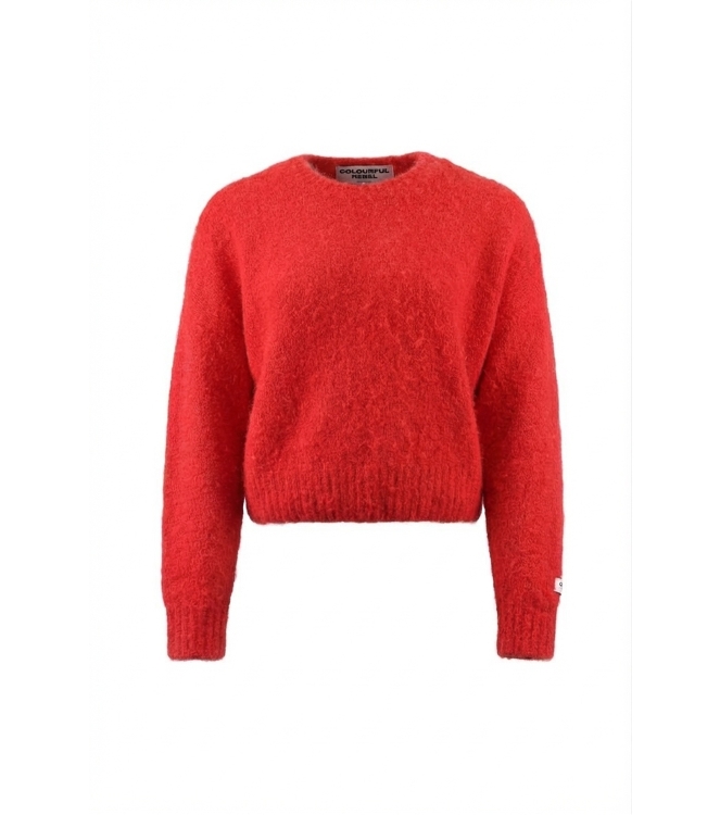 Colourful Rebel Trui