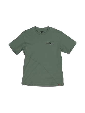 Dickies T-shirt Groen 607748
 Maat S
 