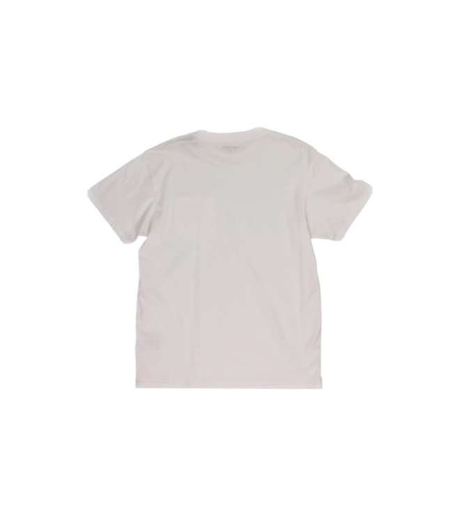 Carhartt T-shirt