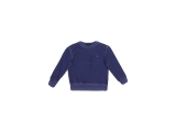 Polo Ralph Lauren Trui