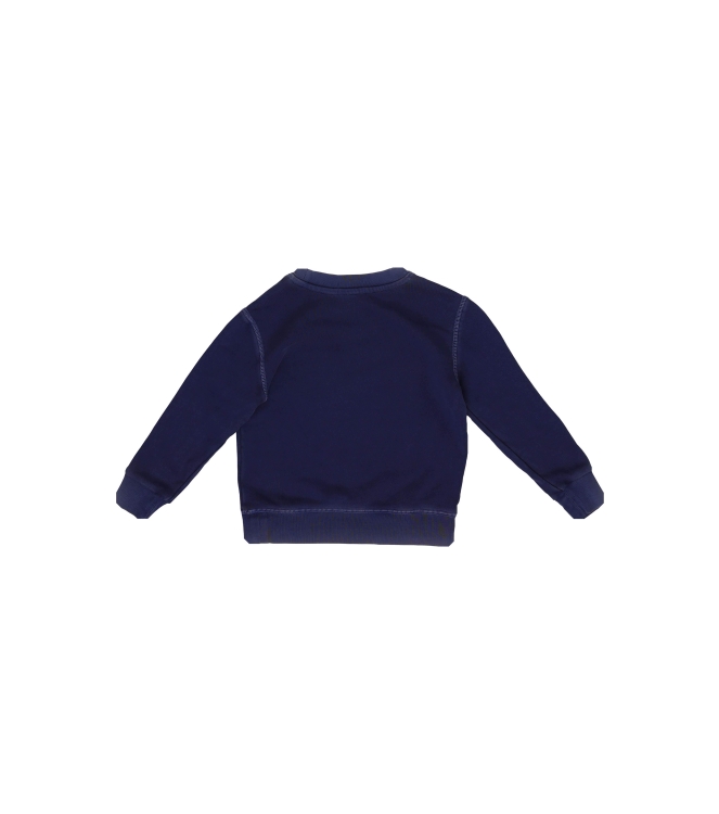 Polo Ralph Lauren Trui