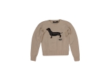 Lauren Ralph Lauren Trui