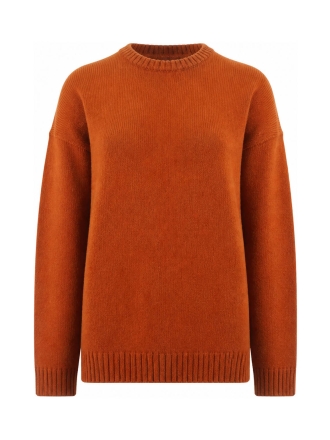 Monki Trui Bruin 612629
 Maat M
 