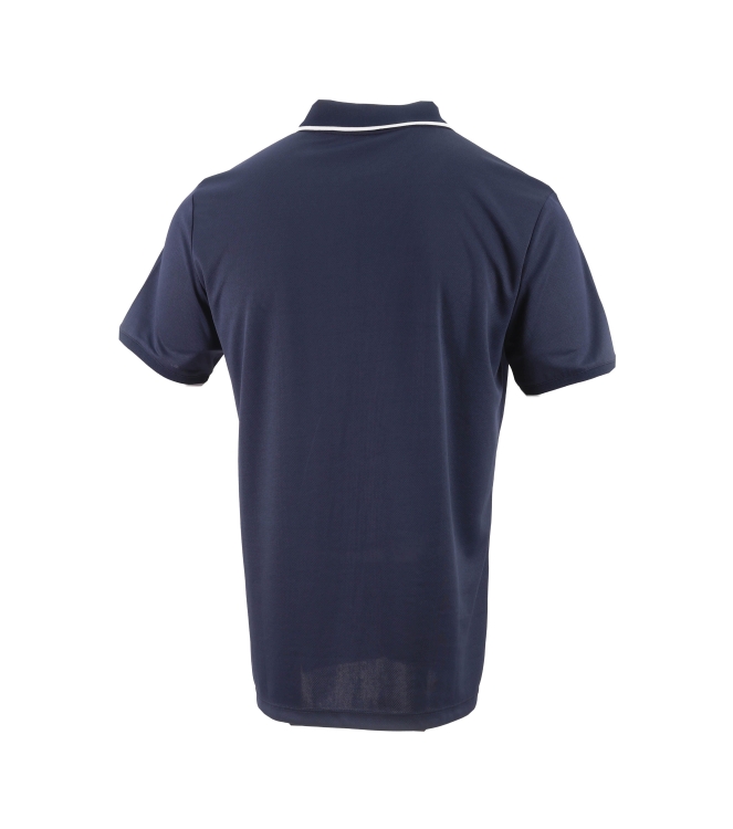 The Indian Maharadja Polo