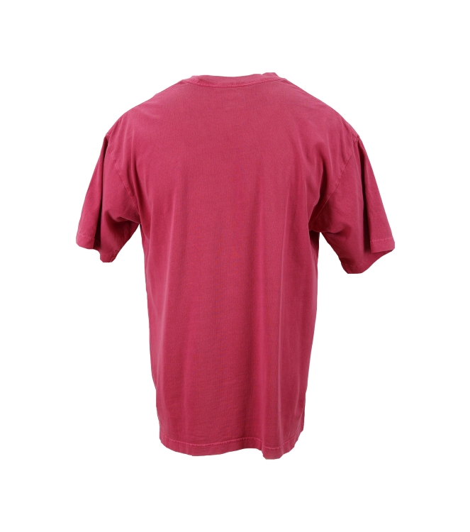Vans T-shirt